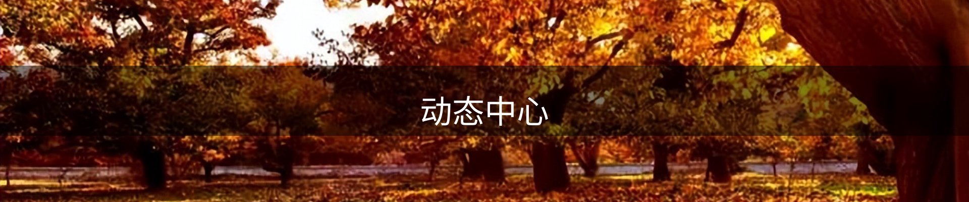 动态中心